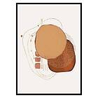 Gallerix Poster Abstract Essence No1 3262-21x30G