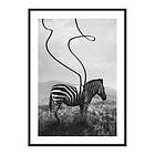 Gallerix Poster Abstract Zebra 3641-21x30G