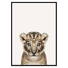 Gallerix Poster Baby Lion 3175-21x30