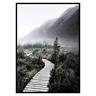 Gallerix Poster Boardwalk New Zealand 3482-21x30