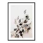 Gallerix Poster Botanical Branch 4235-30x40