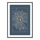 Gallerix Poster Botanical Line Art No3 3609-30x40