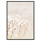 Gallerix Poster Bright Flowers 2867-50x70