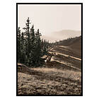 Gallerix Poster Carpathian Mountains 3542-21x30G