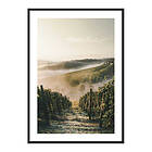 Gallerix Poster Castiglione Tinella 3895-21x30G