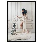 Gallerix Poster Dalmatian 3103-50x70