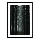 Gallerix Poster Dark Forest 3798-50x70