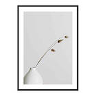 Gallerix Poster Dried Flower White Vase 3708-30x40