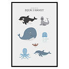 Gallerix Poster Djur I Havet 2721-21x30G