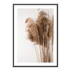Gallerix Poster Dried Bouquet No3 4234-21x30G