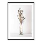 Gallerix Poster Dried Bouquet No4 No2 4225-30x40