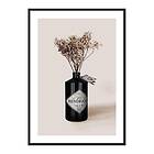 Gallerix Poster Dried Flowers Gin Bottle 4253-21x30