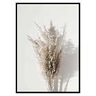 Gallerix Poster Dry Reeds No1 3428-30x40