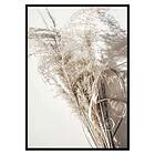 Gallerix Poster Dry Reeds No2 3429-30x40