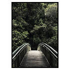Gallerix Poster Forest Crossing 2845-30x40