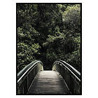 Gallerix Poster Forest Crossing 2845-21x30