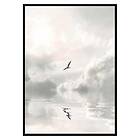 Gallerix Poster Flying Bird 3373-50x70