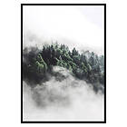 Gallerix Poster Forest In Mist 3481-21x30