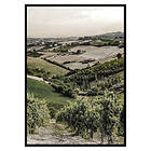 Gallerix Poster Gironde 2887-21x30G