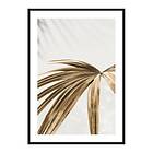 Gallerix Poster Golden Palm Leaves 4312-21x30G