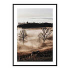 Gallerix Poster Horse In Sunset 3848-30x40