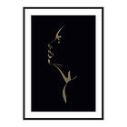 Gallerix Poster Human Display No4 3598-30x40