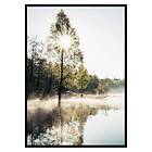 Gallerix Poster Lake At Sunrise 3381-30x40