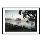 Gallerix Poster Misty Lake Bird 3730-30x40