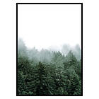 Gallerix Poster Misty Forest 2896-70x100