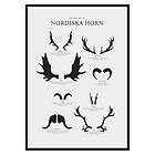 Gallerix Poster Nordiska Horn 2700-50x70