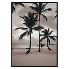 Gallerix Poster Ngapali Beach 2854-70x100