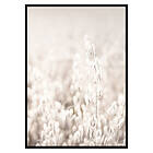 Gallerix Poster Oats 2804-30x40