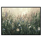 Gallerix Poster Painted Meadow 2991-21x30