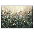 Gallerix Poster Painted Meadow 2991-70x100