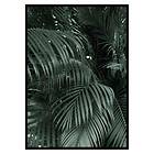 Gallerix Poster Palm Leaf No2 3414-70x100