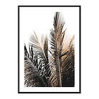 Gallerix Poster Palm Leaves No2 3713-50x70