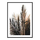 Gallerix Poster Palm Leaves No2 3713-21x30G