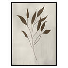 Gallerix Poster Plant Art No2 3019-30x40