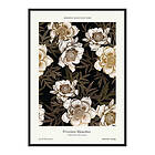 Gallerix Poster Pivoines Blanches 3738-21x30G