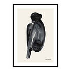 Gallerix Poster Posture No2 3756-50x70