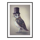 Gallerix Poster Potter Owl 4134-21x30G