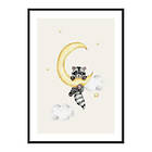 Gallerix Poster Raccoon And Moon 4144-50x70