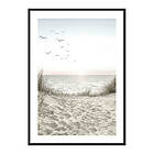 Gallerix Poster Seagulls Sandy Beach 3856-70x100