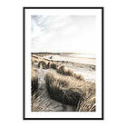 Gallerix Poster Sand Dunes At Sunset 4193-50x70