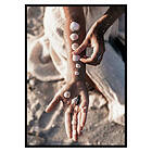 Gallerix Poster Sea Shells On Arm 3578-21x30