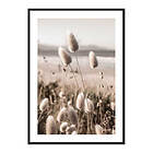 Gallerix Poster Soft Grass 3787-70x100