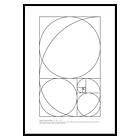 Gallerix Poster The Fibonacci Sequence 2986-21x30