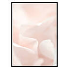 Gallerix Poster Tender Flowers No2 2657-21x30