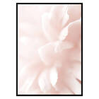 Gallerix Poster Tender Flowers No3 2658-21x30