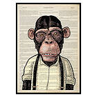 Gallerix Poster The Chimpanzee 2841-21x30G